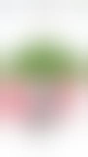 KJF community photo 10