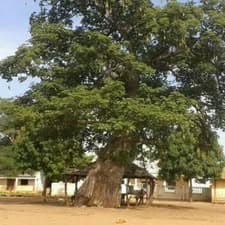 KJF community photo 24